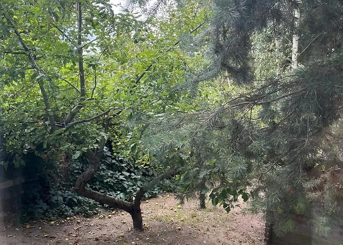 Blue Near Krakow Apartamento *